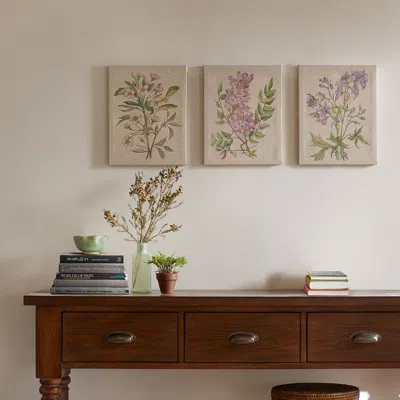 Streamdale Furniture Streamdale Illustration 3-piece Canvas Wall Art Set