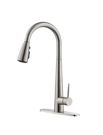 Streamdale Furniture Streamdale Kitchen Faucet With Pull Down Sprayer Brushed Nickel, High Arc