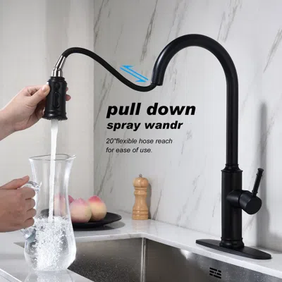Streamdale Furniture Streamdale Kitchen Faucet With Pull Out Sprayer