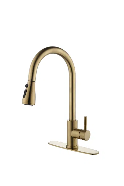 Streamdale Furniture Streamdale Kitchen Faucet With Pull Out Sprayer