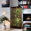 Streamdale Furniture Streamdale Lighted Glass Cabinet Display With Shelves, Brown