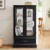 Streamdale Furniture Streamdale Lighted Glass Curio Cabinet - 2-door Display, Drawer, Bulb - Black