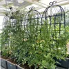 Streamdale Furniture Streamdale Rustproof Metal Garden Trellis For Climbing Plants