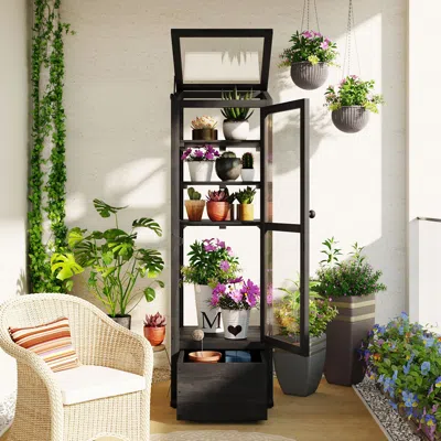 Streamdale Furniture Streamdale Mini Greenhouse With Storage & Shelves
