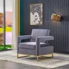 Streamdale Furniture Streamdale Modern Velvet Accent Chair, Elegant Armchair With Stainless Steel Base In Gray