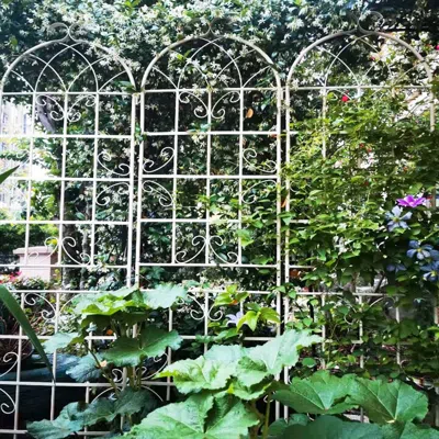 Streamdale Furniture Streamdale Rustproof Metal Garden Trellis For Climbing Plants