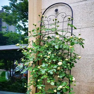 Streamdale Furniture Streamdale Rustproof Rose Trellis For Climbing Plants 86.7"x19.7"