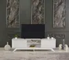 Streamdale Furniture Streamdale Store Luxia Mid Century Modern Tv Stand 2 Sliding Door Cabinet 2
