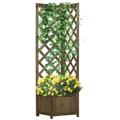Streamdale Furniture Streamdale Wooden Raised Garden Bed With Trellis