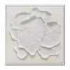Streamline Art Delicate Petal Ii Framed Canvas Art In White
