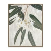 Streamline Art Eucalyptus Blossoms I Framed Canvas Art In Green