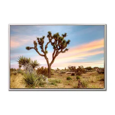 Streamline Art Joshua Tree Sunrise Framed Canvas Art In Brown