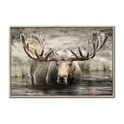 Streamline Art Moose Hot Springs Framed Canvas Art In Brown