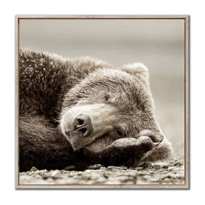 Streamline Art Sleeping Bear Framed Canvas Art In Gray
