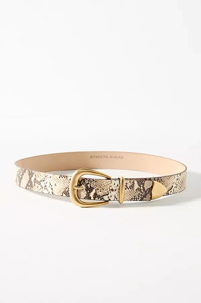 Streets Ahead Snake Print Belt In Multicolor