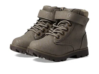 Stride Rite Jill (toddler/little Kid) Girl's Shoes Leopard : 13 Little Kid M, Synthetic In Brown