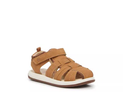 Stride Rite Paddy Sandal Kids' In Brown