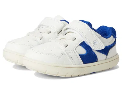 STRIDE RITE SRT LONDON (TODDLER/LITTLE KID) BOYS SHOES BONE : 10.5 LITTLE KID M, LEATHER