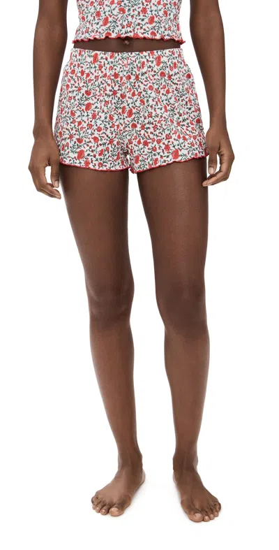 Stripe & Stare Pointelle Bed Shorts Daisytrail