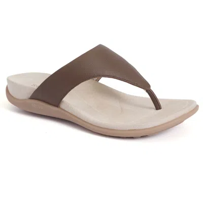 Strive Antibes Flip Flop In Brown