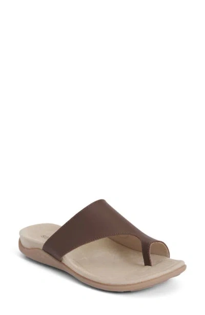 Strive Capri Iv Toe Loop Sandal In Brown