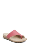 Strive Capri Iv Toe Loop Sandal In Pink
