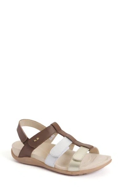 Strive Cassis Cage Sandal In Brown