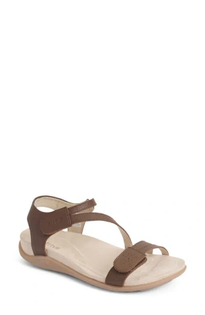 Strive Nice Sandal In Brown
