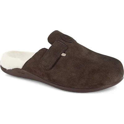 Strive Oslo Clog In Chocolate