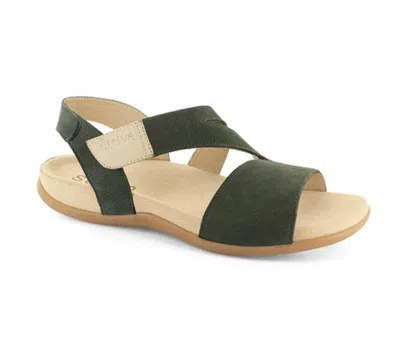 Strive Women's Jinny Sandal In Olive In Multi