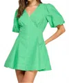 Strut & Bolt Stitch Flare Dress In Green In Green