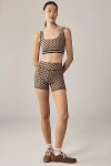 Strut This Shiloh Shorts In Brown