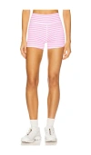 Strut This Shorts Sparrow