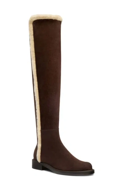 Stuart Weitzman 5050 Cozy Gisele Over The Knee Boot With Genuine Shearling Trim In Hickory/vanilla/dark Brown