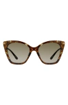 Stuart Weitzman 56mm Gradient Cat Eye Sunglasses In Multi