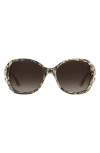 Stuart Weitzman 58mm Gradient Square Sunglasses In Brown