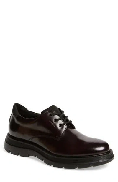 Stuart Weitzman Ajay Derby In Burgundy