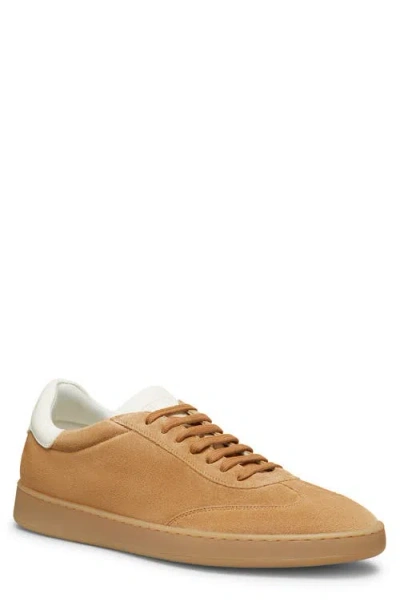 Stuart Weitzman Banner Sneaker In Biscotto/white Bianco
