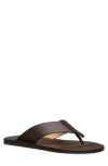 Stuart Weitzman Bastian Flip Flop In Espresso