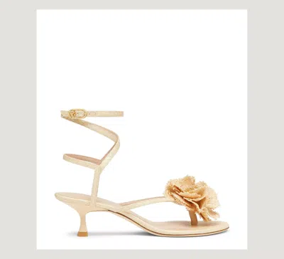 Stuart Weitzman Belize 50 Sandal In Brown