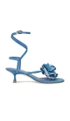 Stuart Weitzman Women's Belize 50 Ankle Wrap Embellished Sandals In Blue