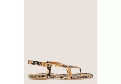 Stuart Weitzman Benni Sandalen Aus Leder Mit Schlangeneffekt In Animal-print