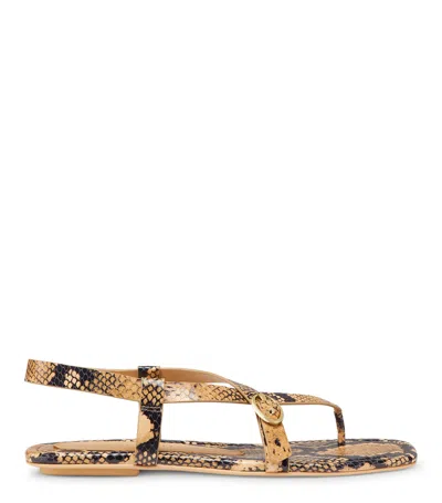 STUART WEITZMAN STUART WEITZMAN, BENNI SANDAL, LAST CHANCE, GINGER, MINI PRINTED PYTHON