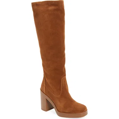 Stuart Weitzman Bethenny Block Heel Tall Boot In Coffee Tonal Sport Suede