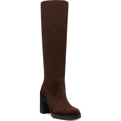 Stuart Weitzman Bethenny Block Heel Tall Boot In Hickory