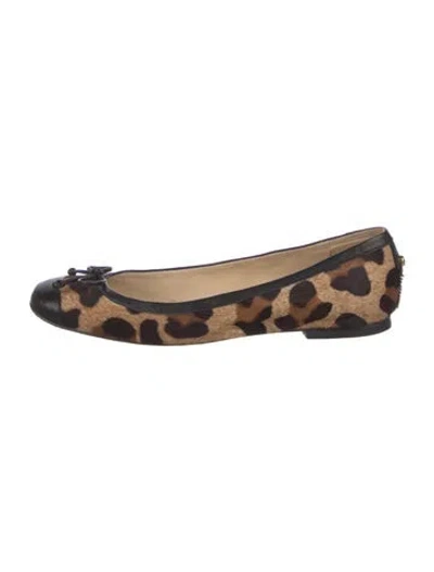 Pre-owned Stuart Weitzman Calf Hair Animal Print Ballet Flats In Neutral