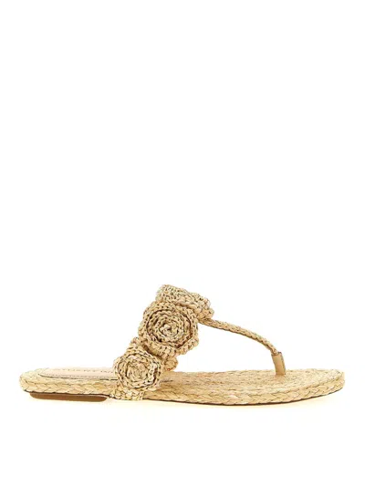 Stuart Weitzman Magnolia Slides