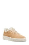 Stuart Weitzman Sw Courtside Shearling Sneakers In Adobe/butter