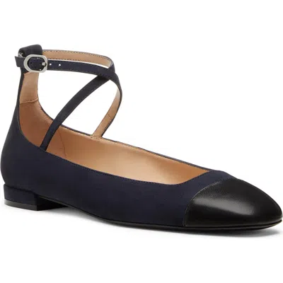 Stuart Weitzman Eden Strap Flat In Marine Blue/black