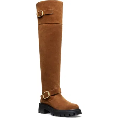 Stuart Weitzman Emerson Buckle Over The Knee Boot In Coffee